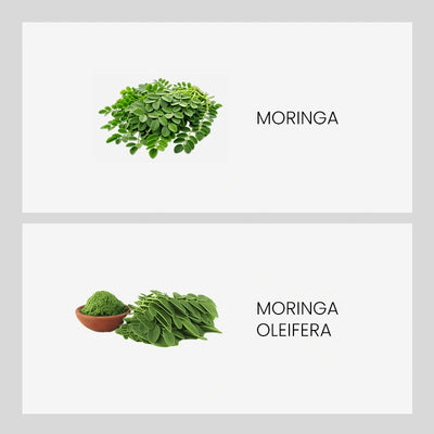 Ingredient