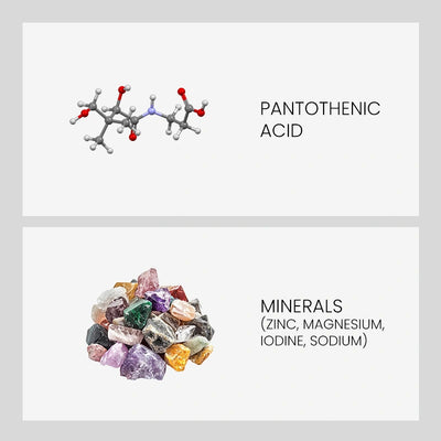 Ingredient