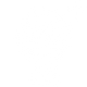 2.2 mcg
